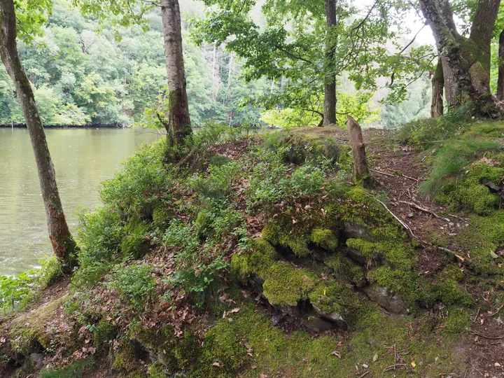 Coulnifontaine (België) (samenvloeiing westelijke en oostelijke Ourthe)